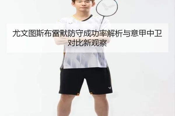 尤文图斯布雷默防守成功率解析与意甲中卫对比新观察