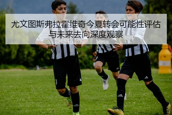 尤文图斯弗拉霍维奇今夏转会可能性评估与未来去向深度观察